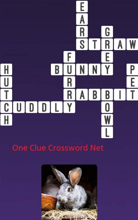 bunny crossword clue|Bunny